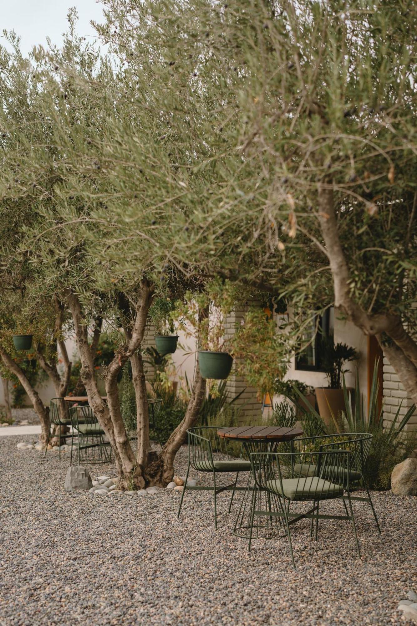 Casa Olivea - Mya Hotel Valle de Guadalupe Exterior photo